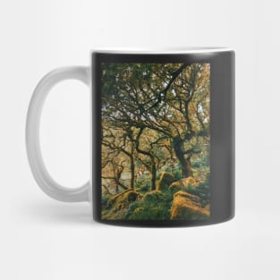 Ancient Forest Mug